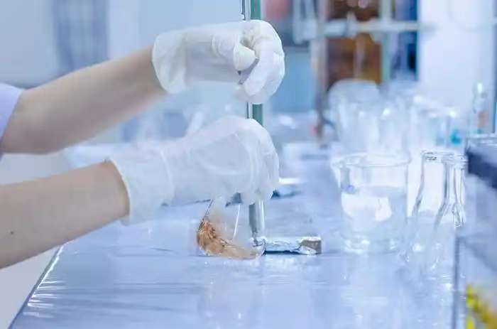 6S标准管理严谨